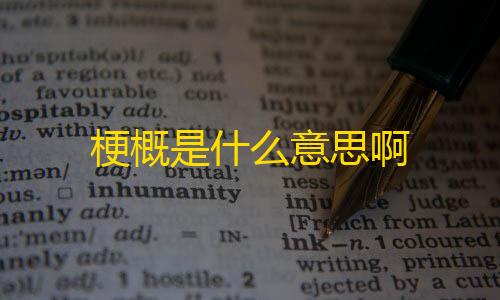 三角洲科技辅助发卡网梗概是什么意思啊